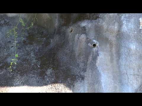 野生のミツバチに適した営巣補助具 自然と動物