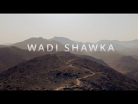Wadi Shawka Hike | UAE’s Hidden Hiking Gem 🌄🇦🇪