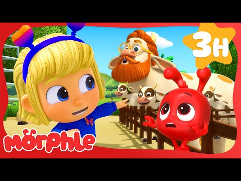 Giant Cow Mayhem! 🐮 | Morphle | Season 6 Compilation | Kids Cartoon Video