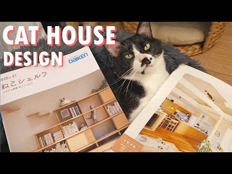 Building a Cat Friendly House in Japan