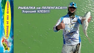 Рыбалка в кириловке запорожской области
