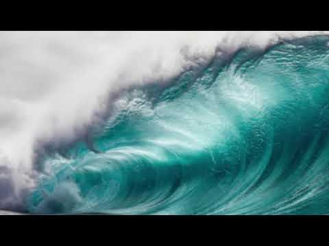 Love and War - Chester Malone