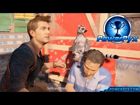 Uncharted 4: A Thief's End - Don't Feed the Animals Trophy Guide (Chapter 11)