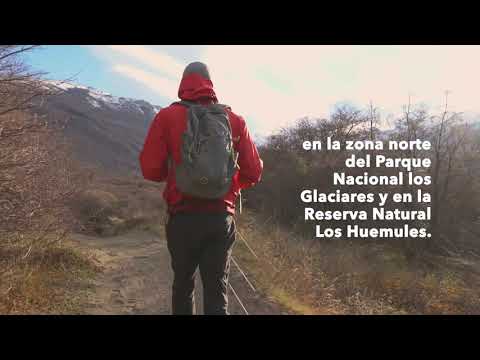 Portada video