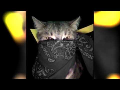 *FREE* LIL MORTY x UGLYSTEPHAN x MAYOT type beat - Goat status (prod. by wavescale)