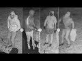 Nootdorp: Inbrekers op beeld die verzameling horloges buitmaakten