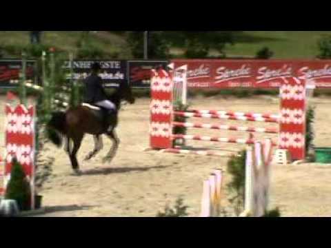 Cirabell 2007   Damme 22 06 2012