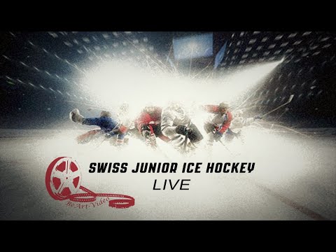 MS 20/21 - U20 Elit - Regular Season - SCL Young Tigers vs Fribourg-Gottéron Young Dragons