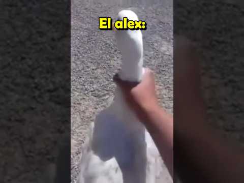 Mi PAPÁ me encontró VIENDO COSAS TURBIAS 😱💀