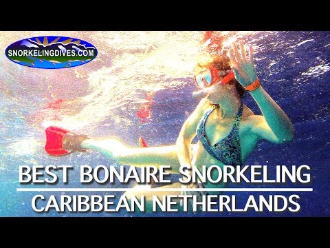 Best Bonaire Snorkeling