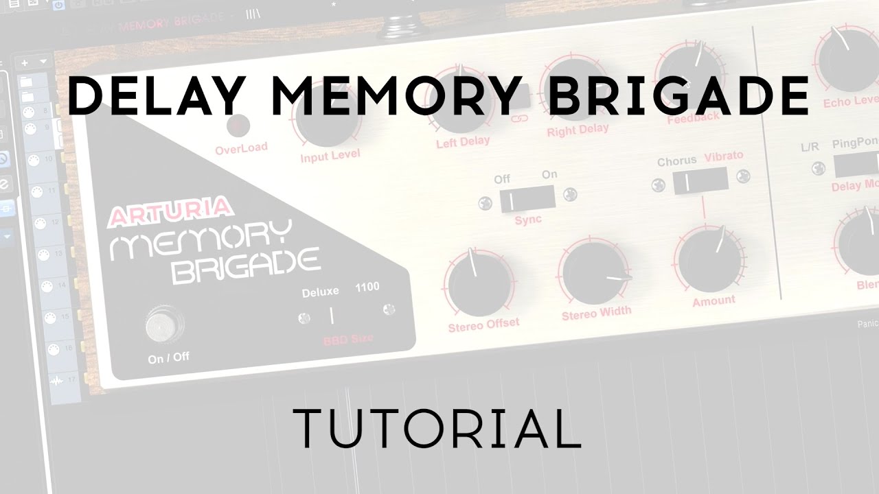 Video 849b0cbd-bf43-45bf-99e8-cd6b1ddf74f7