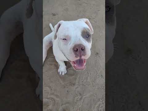 vou te mostrar um neném com carinha de  malvadão                    (vulgo Buchecha)kkkkkk