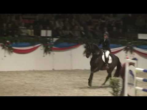 ♂ Nekton- jumping stallion  (HOLST) by Nimmerdor