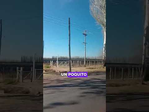 Rivadavia Mendoza #argentina #travesia #rutasypaisajes #travel #amor #paisajesextremos #conociendo