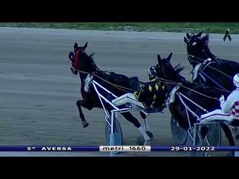 Aversa trotto 29 Gennaio 2022 - 5° Corsa