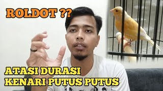 Download lagu Ada problem kayak ini? Kenari roldot alias durasinya putus putus || cara atasi kenari ngerol pendek mp3