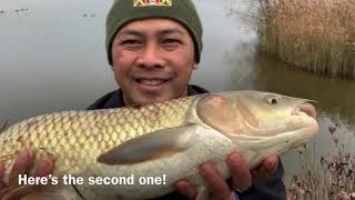 HOW TO CATCH A MASSIVE GRASS CARP DURING THE WINTER!