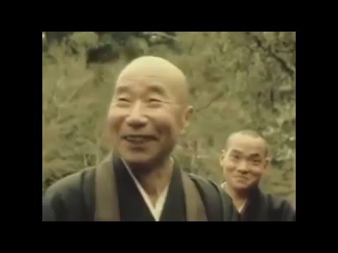 Taisen Deshimaru with friends