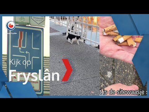 KIJK OP FRYSLÂN: Gevaarlijke kruising Sint Annaparochie, touwen voor katten en Fransman raapt peuken