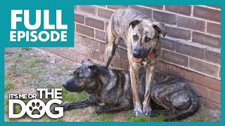 Thumbnail del capítulo