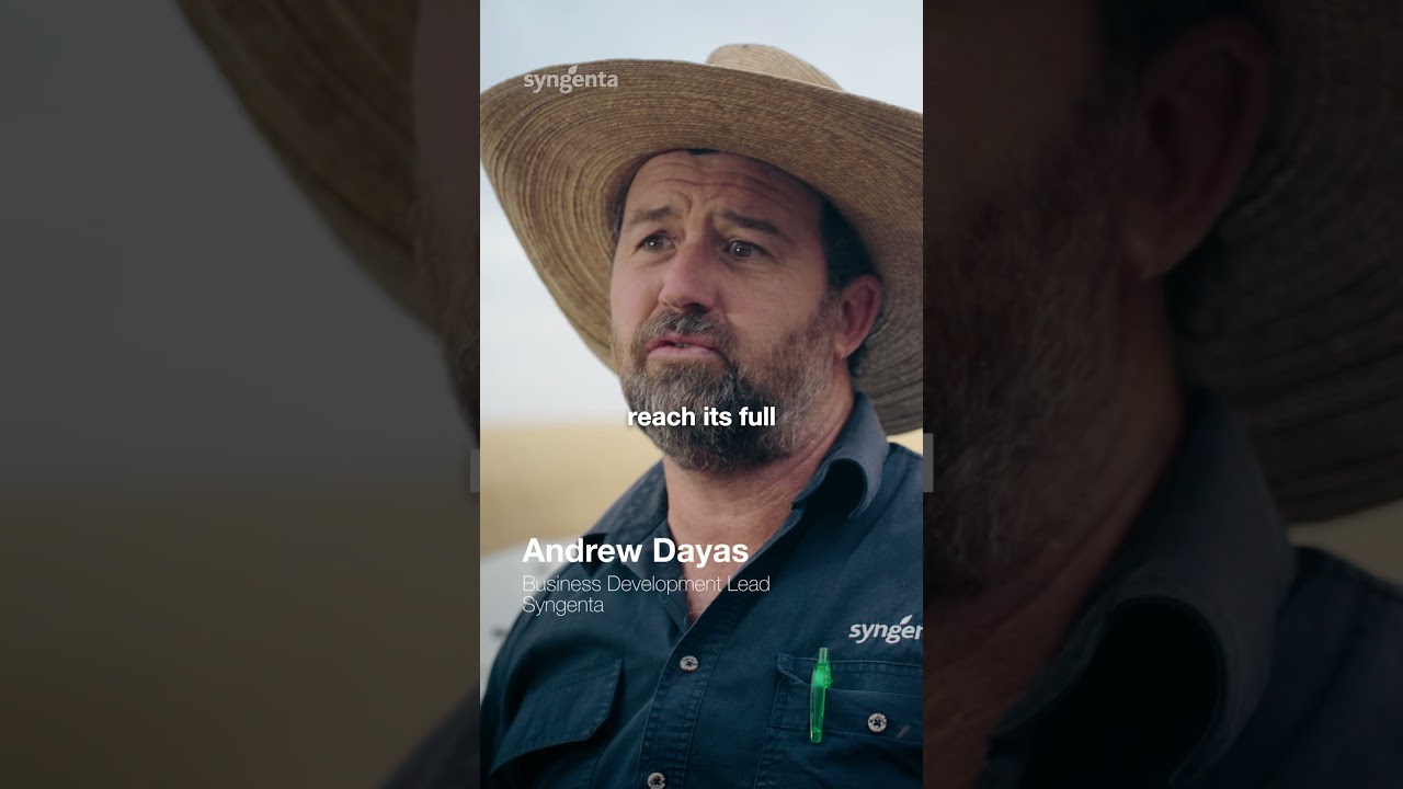 30 second Reel - Yield 