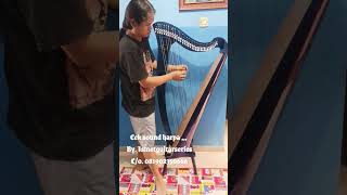 Download lagu cek sound harpa karya sendiri,,, tantangan terselesaikan. nuhun bosskuh orderan nya,,,! #harpa mp3