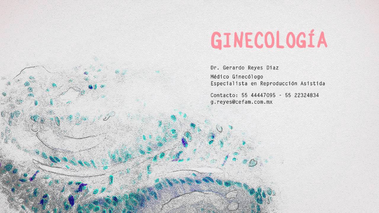 Gerardo De Jesus Reyes Diaz-4