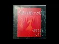 David Arkenstone — Companions