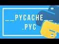 Pycache E Pyc Quem São Onde Vivem
