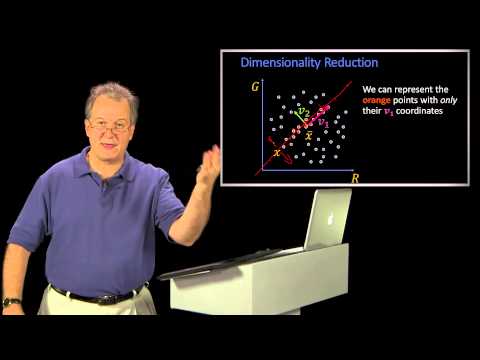 Dimensionality Reduction