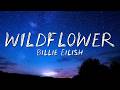 Billie Eilish WILDFLOWER Lyrics