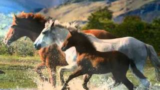 ♫ A soft place to fall ♫