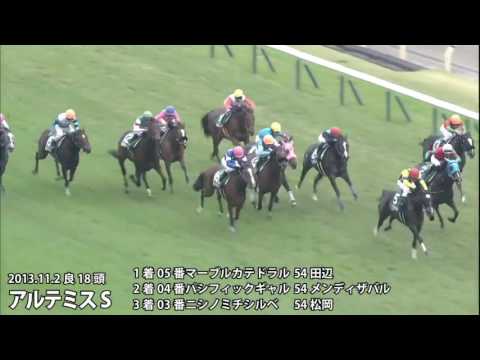 2010年～2015年 アルゼンチン共和国杯の過去レース映像