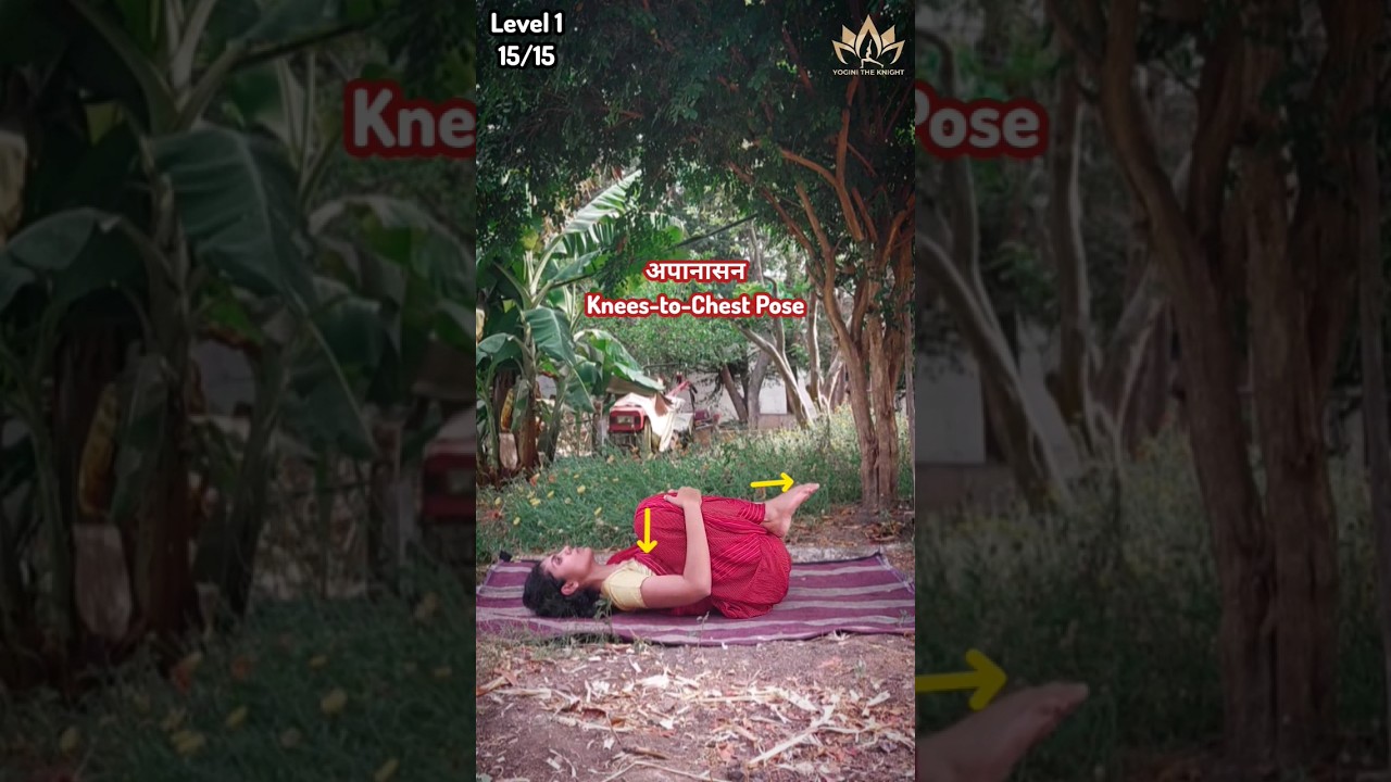 Yoga for good digestion (Apanasana) | YoginiTheKnight