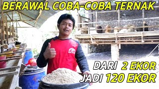 Download lagu Almost Desperate, Now Successful in Raising 120 Sheep, From 2 to 120 | Success Stories of Farmers mp3