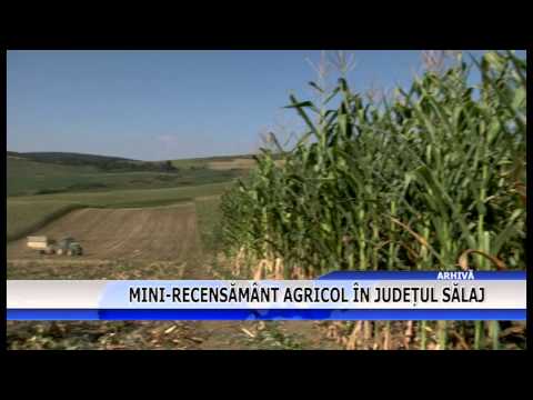 Mini-recensământ agricol în judeţul Sălaj
