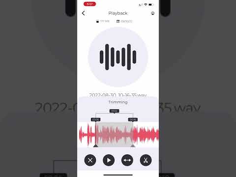 Audio Recorder & Voice Editor