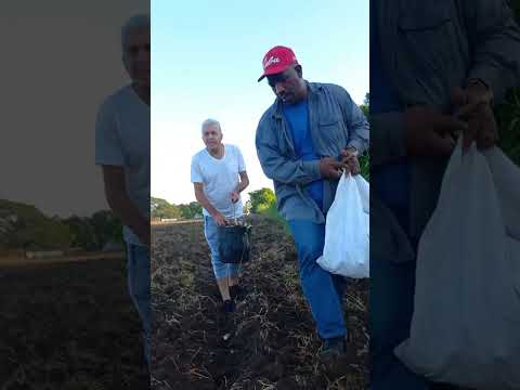 tarea de grandes tarea de todos