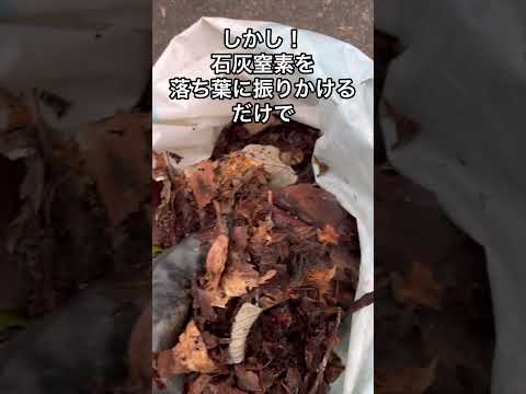 木の根元に灰を置いてもいいでしょうか？何のために ？特典＋申込方法  庭園