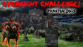 THE 3 AM CHALLENGE AT HAUNTED CEMETERY | OVERNIGHT CHALLENGE CREEPY DOG HOUSE & PHANTOM DOGS