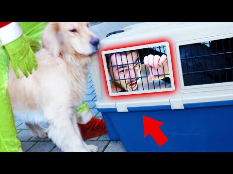 HUND LUCKY BEFREIT FLEXI aus dem HUNDEKÄFIG vom GRINCH !!