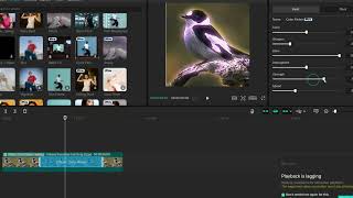 Download the video "How to Add a Color Flicker Effect in CapCut PC | Quick & Easy Tutorial!"