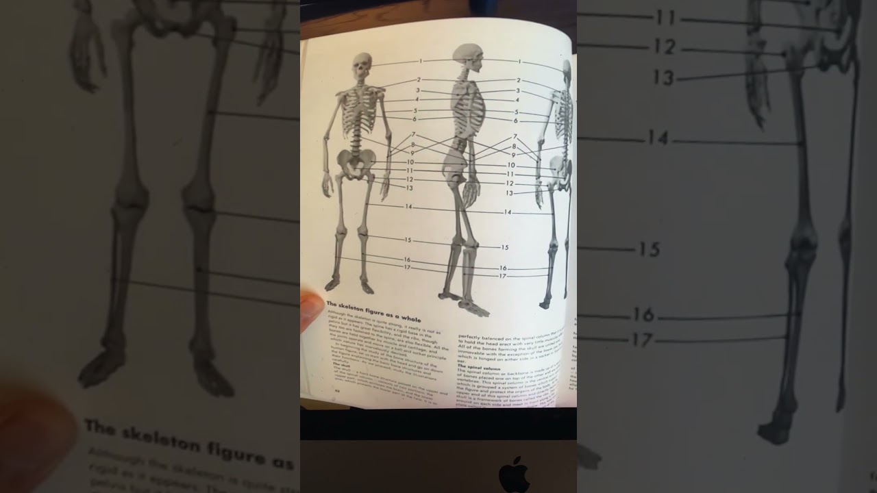 The figure by Walt Reed book review