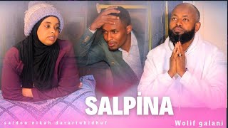 Download lagu Darartuun saido waamtee guyya takkaf nikaha na godhuu nahiiki jetteni musxafa salpifte mp3