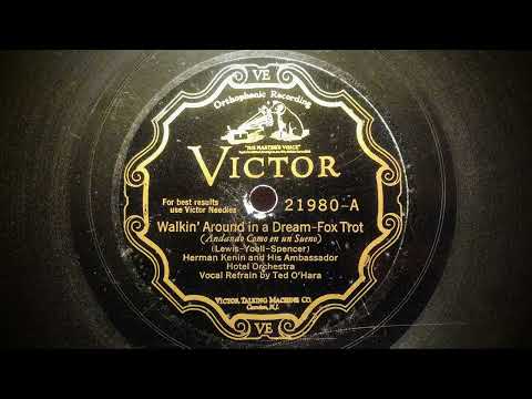 Walkin' Around In A Dream - Herman Kenin Orchestra - 1929