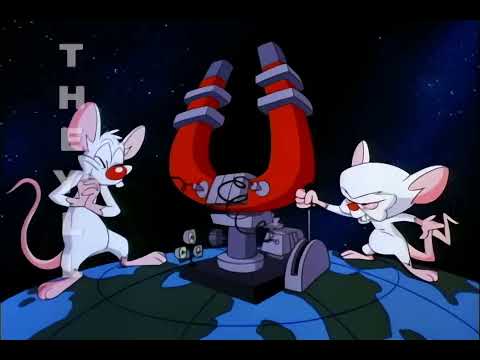 LNK/TV1 - Pinkis ir Makaulė // Pinky and the Brain [LT intro]