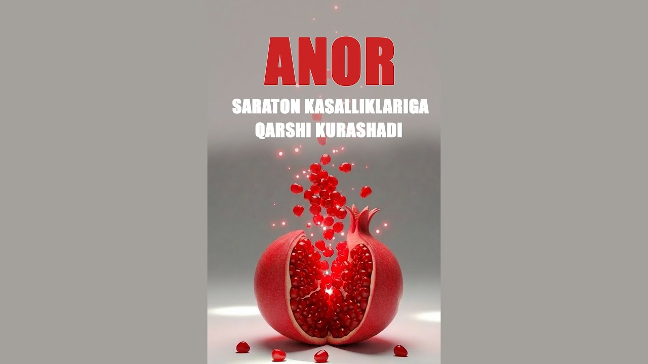 ANOR – YURAKKA SHIFO, SARATONGA QARSHI KURASHADI