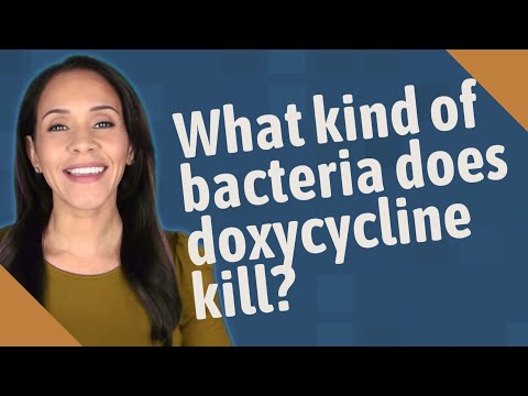 What kind of bacteria does doxycycline kill?