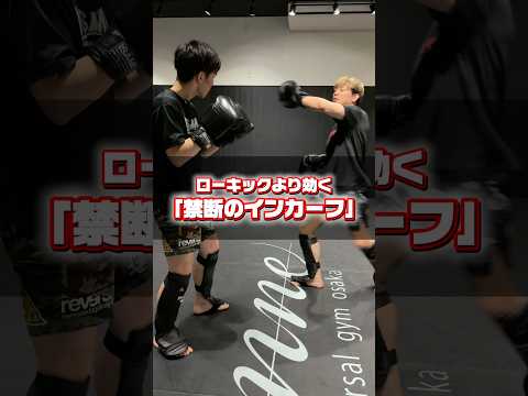 ローキックより効く！「禁断のインカーフ」！ #キックボクシング #rizin #kickboxing #ミット打ち #格闘技 #mma #総合格闘技 #ミット #キックボクシングテクニック