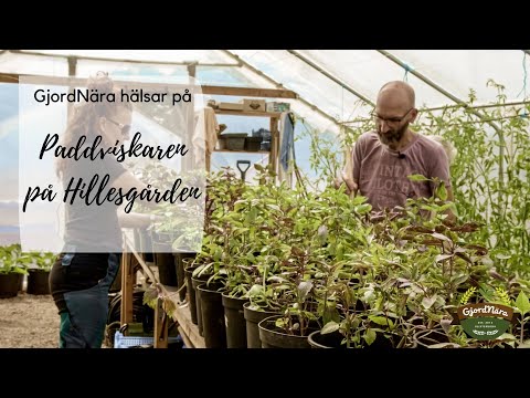 GjordNära hälsar på del 4: Paddviskaren från Hillesgården